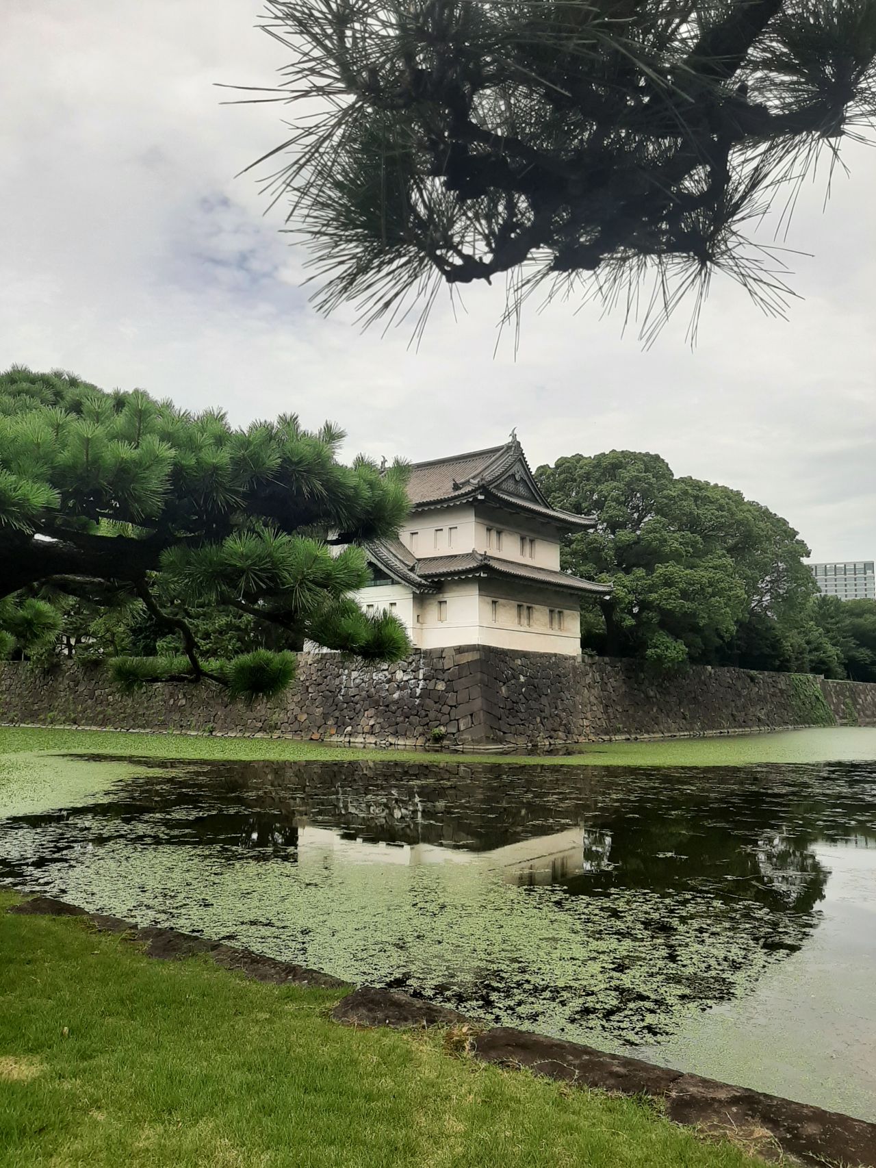2024 IPWG photo 3